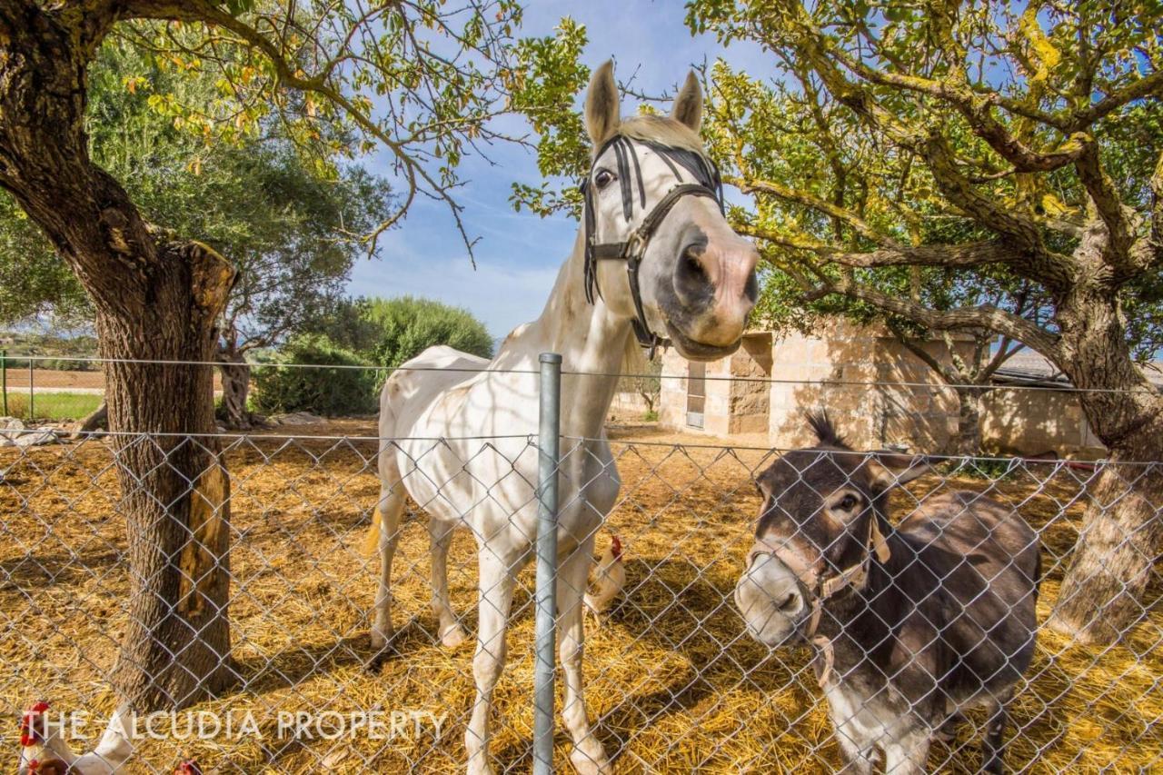 Finca Pegasus Алкудия Екстериор снимка